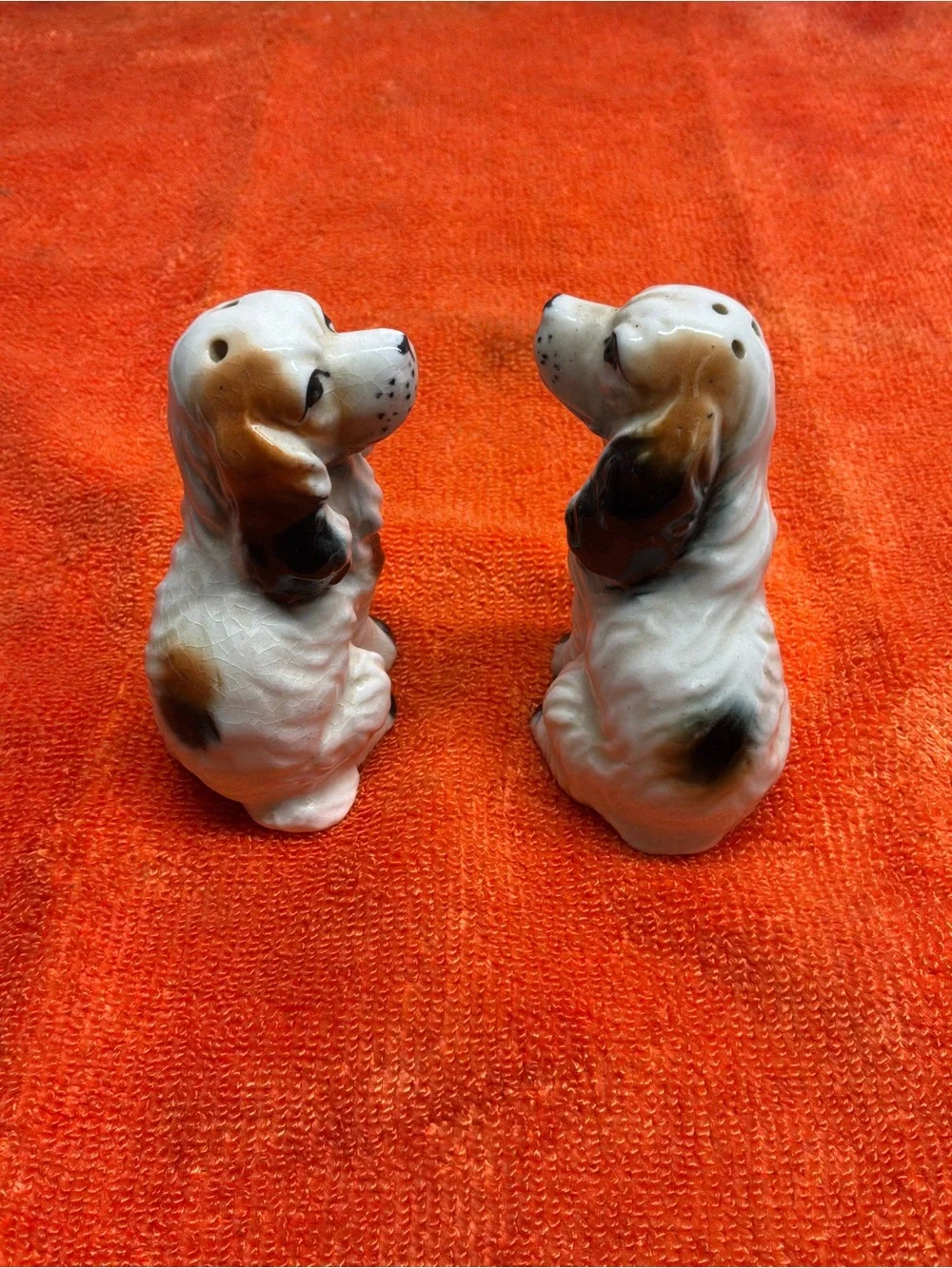 Ceramic Dog Salt and Pepper Shakers - White and Black